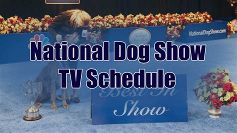 When can you watch the 2023 National Dog Show? The 2023 National Dog Show will be broadcast and streaming starting at 12:00 p.m. on November 23 . The show is scheduled to last two hours and end ...